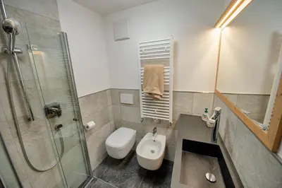 a bathroom with a toilet and a glass shower at Apartments Alpen Domus in Selva di Val Gardena