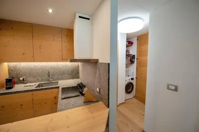 a kitchen with a sink and a washing machine at Apartments Alpen Domus in Selva di Val Gardena