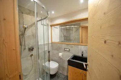 a bathroom with a shower and a toilet and a sink at Apartments Alpen Domus in Selva di Val Gardena