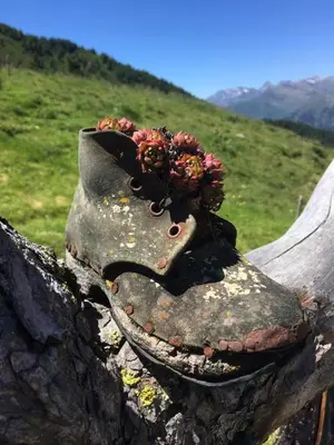 a shoe with flowers on it sitting on a rock at B&B Hotel Mair am Turm in Tirolo