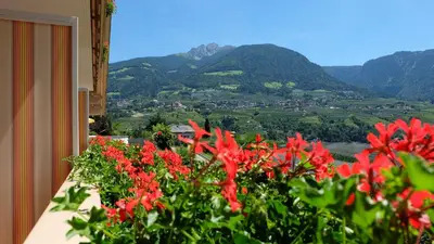 a view from a balcony with red flowers at Hotel Weger in Tirolo