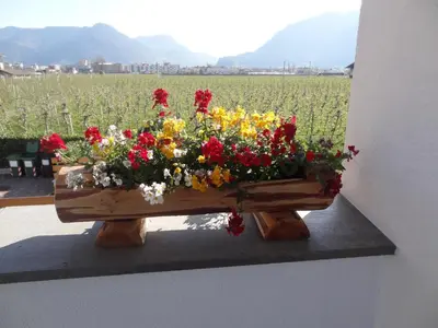 a wooden planter with flowers in a field at Apartments Klotz in Bolzano