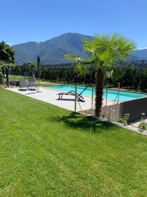 a swimming pool with a palm tree in a yard at Apartments Klotz in Bolzano