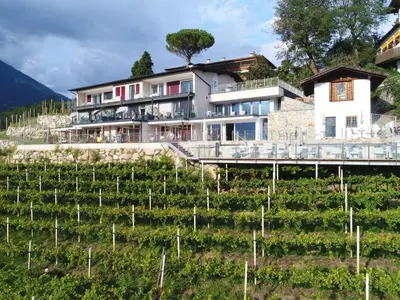 a house on top of a hill with vines at La Pergola PanoramaSuites in Tirolo