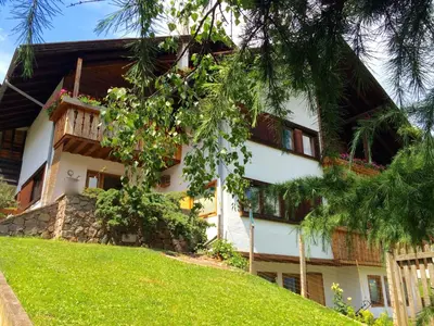 a building on a hill with a green yard at B&B Pichler Casa in Castello di Fiemme