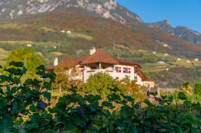 a house with a garden in front of it at Weinberghof in Termeno