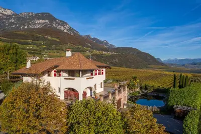 a palm tree in a field with mountains in the background at Weinberghof in Termeno