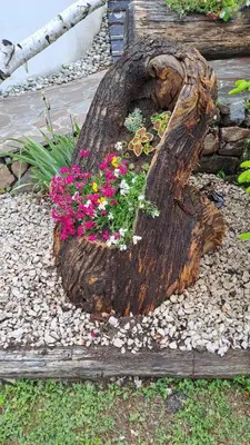 a tree stump with flowers in a garden at ATL AGRITURISMO in Salorno sulla Strada del Vino
