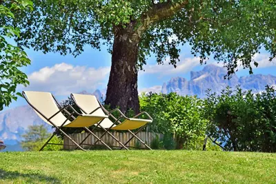 two chairs sitting on a hill under a tree at Panoramahotel Obkircher in Nova Ponente
