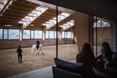 a woman riding a white horse in a barn at Hotel Solvie in Falzes