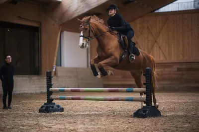 a woman riding a horse jumping over an obstacle at Hotel Solvie in Falzes