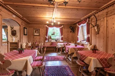 a living room with a fireplace and a window at Belvedere Dolomites Flower Hotel in Moena