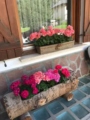 a window box filled with flowers on a window sill at Garni La Vara in Corvara in Badia