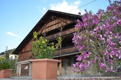 a house with purple flowers in front of it at Zimmervermietung Gröberhof in Schenna
