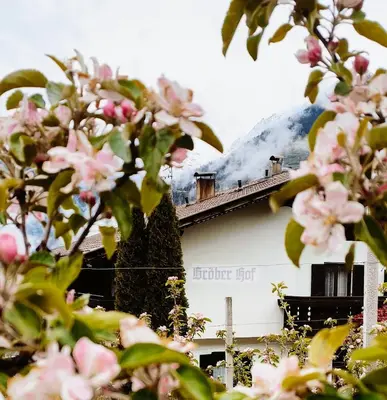 a house with a mountain in the background with pink flowers at Zimmervermietung Gröberhof in Schenna