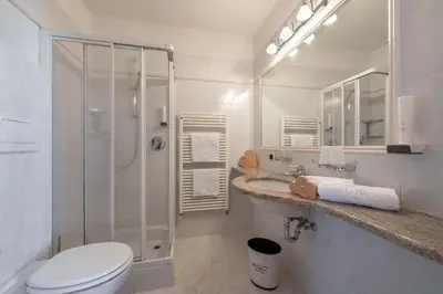 a bathroom with a shower and a toilet and a sink at Naturhotel Waldheim in Anterivo