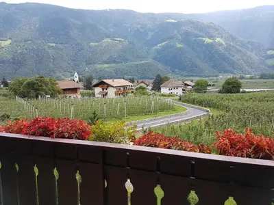 a view of a vineyard with a road and mountains at Garni Weghueb in Rablà