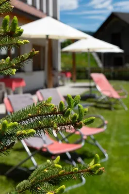 a group of chairs and umbrellas in a yard at Residence Barbara in Colfosco