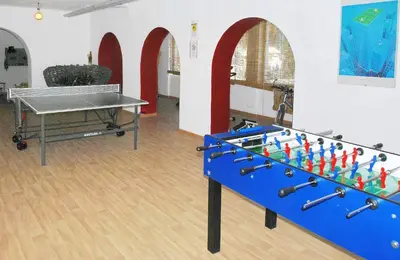 a ping pong table in a room with a ping pong ball at Hotel Sassleng in Canazei
