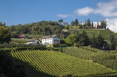 a house on a hill next to a vineyard at Hotel Sigmundskron in Appiano sulla Strada del Vino