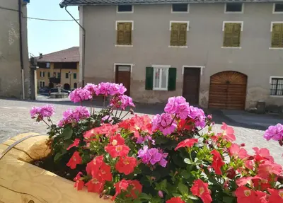a pot of flowers in front of a house at Da Rinota in Alta Val di Non in Malosco