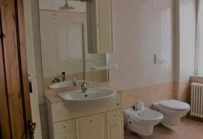 a bathroom with a sink and a toilet at Da Rinota in Alta Val di Non in Malosco