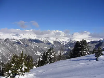 a view of a snow covered mountain range with trees at Appartements Wiesenheim in Rasun di Sopra