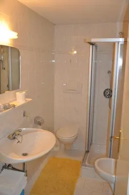 a bathroom with a sink and a toilet and a shower at Appartements Wiesenheim in Rasun di Sopra