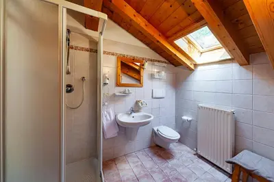 a bathroom with a shower and a toilet and a sink at Albergo Lozen in Canale San Bovo