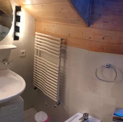 a bathroom with a shower with a sink and a toilet at Fless in San Martino in Badia