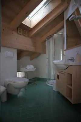a bathroom with a toilet and a sink and a shower at B&B Casa Riz in Castello di Fiemme