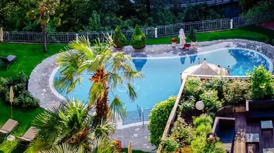 an overhead view of a large swimming pool with a palm tree at Hotel Starkenberg in Schenna