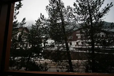 a view of a house from a window with trees at Residence Valfassa in Canazei
