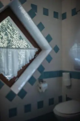 a bathroom with a window and a toilet at Nancy's Holiday Homes Dolomites in Rasùn di Sotto