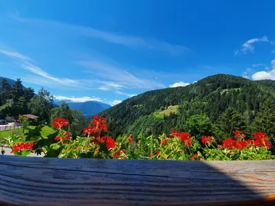a view of red flowers with mountains in the background at Mesnerhof in Lauregno
