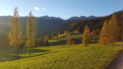 a golf course in the mountains with trees and a road at Mesnerhof in Lauregno