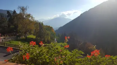 a view of a mountain valley with red flowers at Mesnerhof in Lauregno