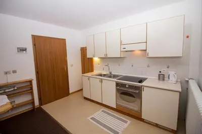 a small kitchen with a sink and a dishwasher at Residence Chris Appart in Carezza al Lago