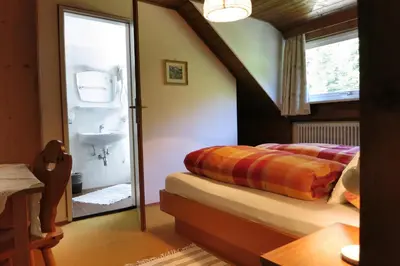 a bedroom with a bed and a sink and a mirror at Residence Chris Appart in Carezza al Lago