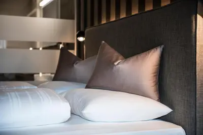 two pillows on a bed with brown and white pillows at Hotel - Appartements Schmied Hans in Schenna