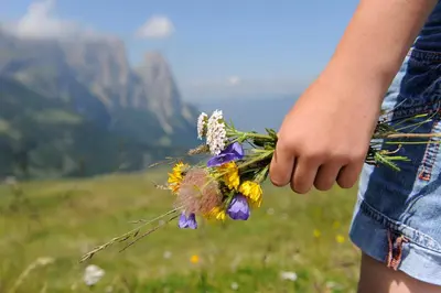 a person holding a bouquet of flowers in a field at Apartment Sella in Siusi