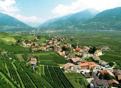 a village in a vineyard with mountains in the background at Hotel Löwenwirt in Cermes