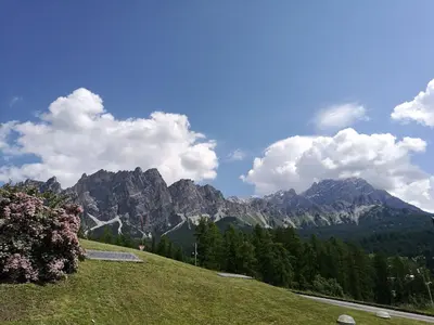 a grassy hill with a view of a mountain at La Roncolina in Cortina dʼAmpezzo