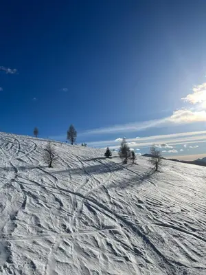 a snow covered slope with trees on top of it at Castel Madonna in San Martino di Castrozza
