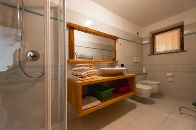 a bathroom with a sink and a toilet and a shower at Appartamenti Majon Ladina in Vigo di Fassa