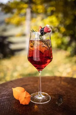 a drink in a glass sitting on a table at Hotel Fines in Funes
