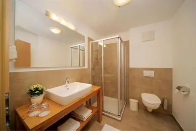 a bathroom with a sink and a shower and a toilet at Hotel Garni Paler in Tirolo