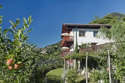 a building on a hill with trees and a house at Schwarzplatterhof in Merano
