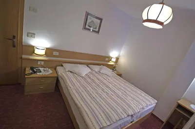 a bedroom with a bed and a nightstand and a lamp at Hotel La Molinella in Soraga