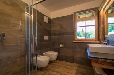 a bathroom with a toilet and a sink and a shower at Agriturismo Malga Piè in Soraga